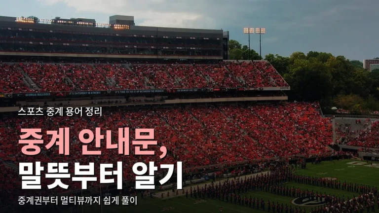 스포츠 중계 안내에 나오는 말 풀이 - 중계권, 블랙아웃, 월드 피드, 멀티뷰